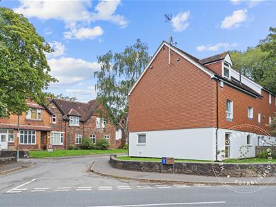 Picture 20